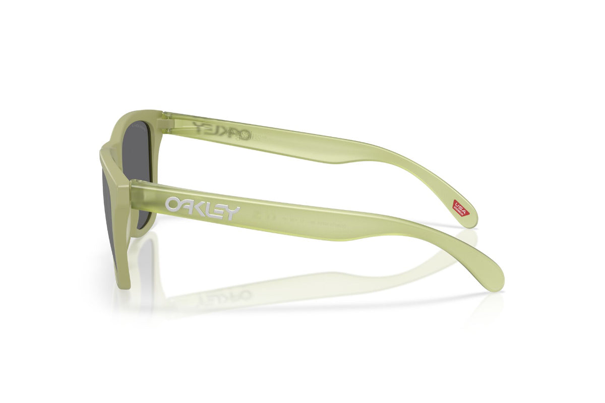 Oakley Frogskins Prizm Polarizados -NOVEDAD