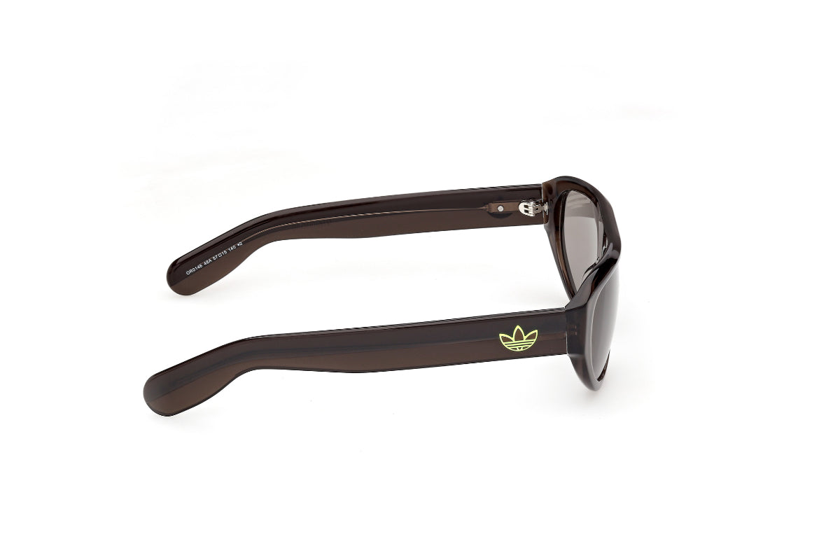 Adidas Originals Lentes de Sol OR0146