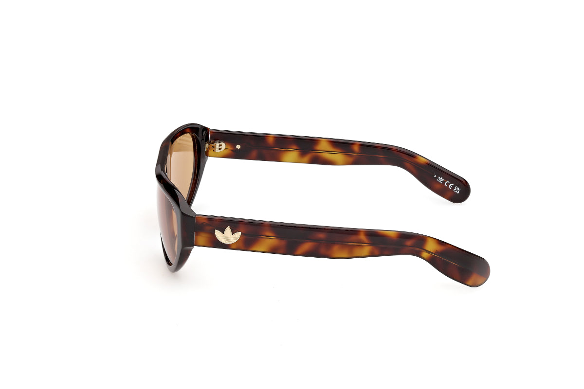 Adidas Originals Lentes de Sol OR0146