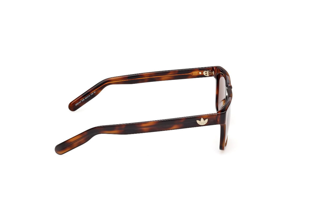 Adidas Originals Lentes de Sol OR0147
