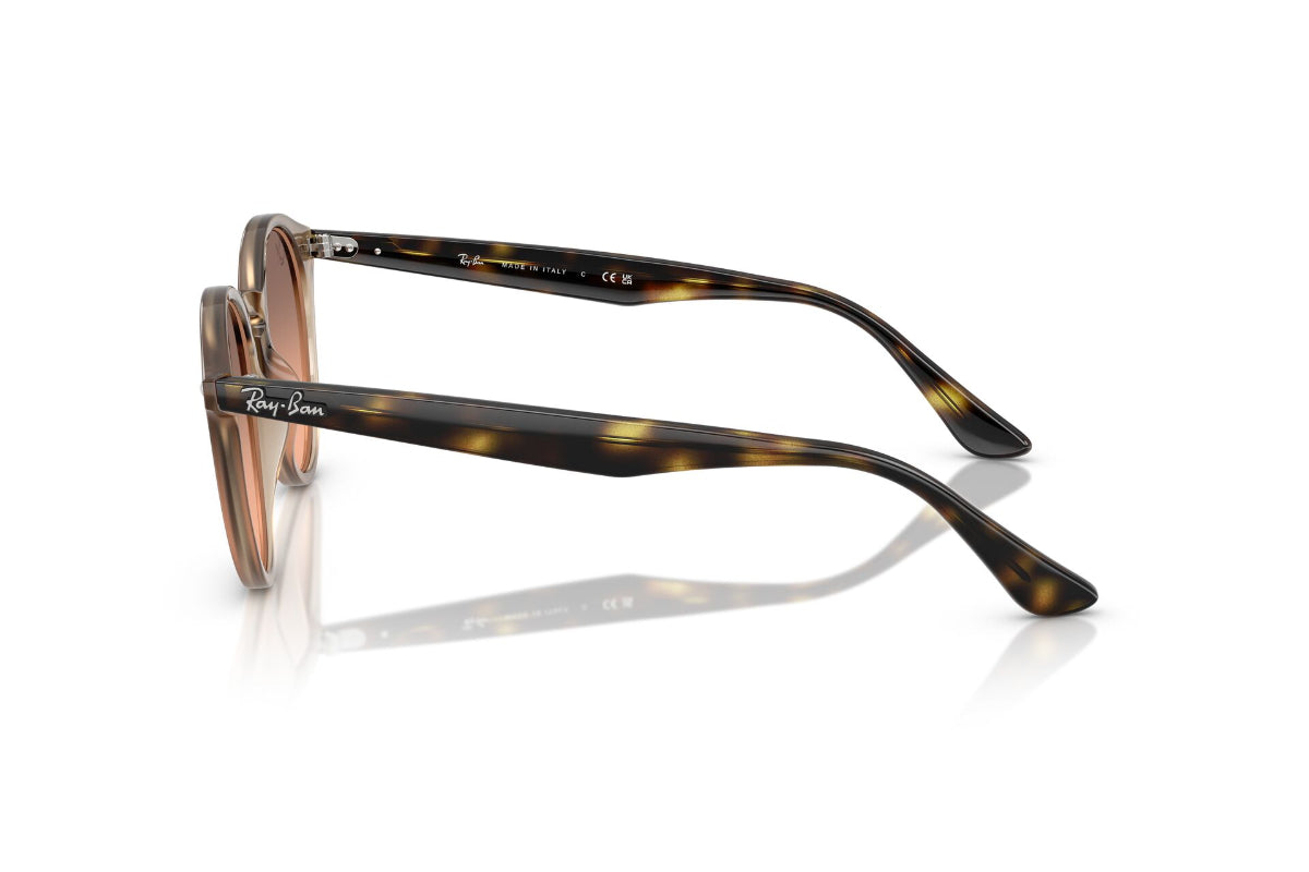 Ray-Ban Lentes de Sol