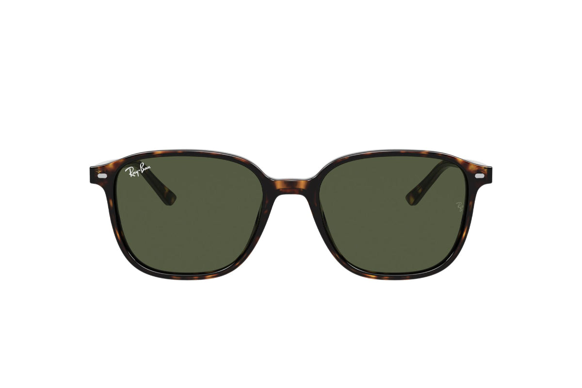 Ray-Ban Lentes de Sol Leonard RB2193