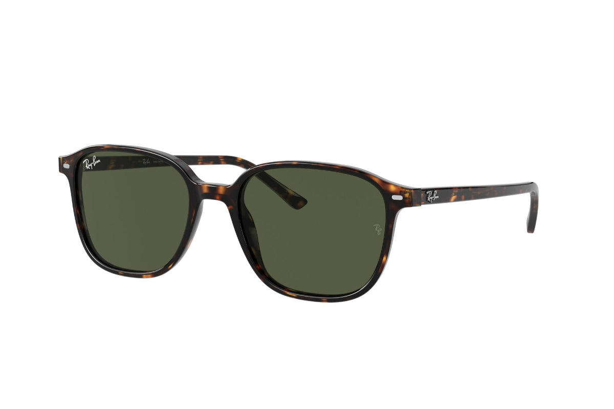 Ray-Ban Lentes de Sol Leonard RB2193