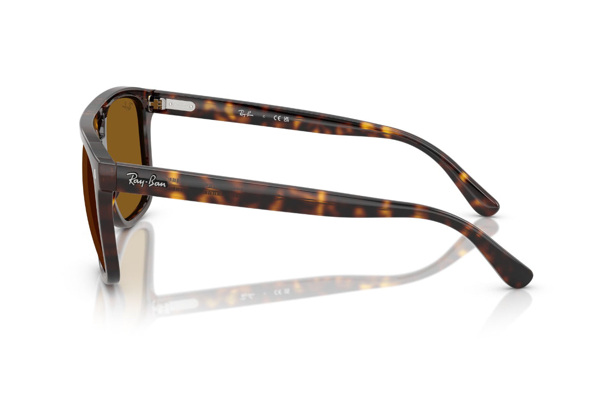 Ray-Ban Lentes de Sol