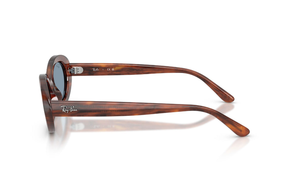 Ray-Ban Lentes de Sol The Bold RB2223