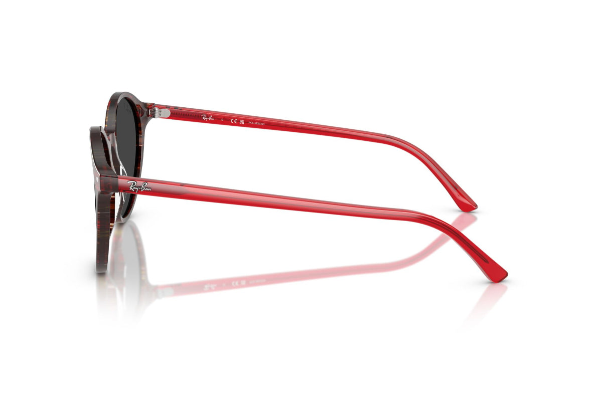 Ray-Ban Lentes de Sol Bernard Polarizados RB2230