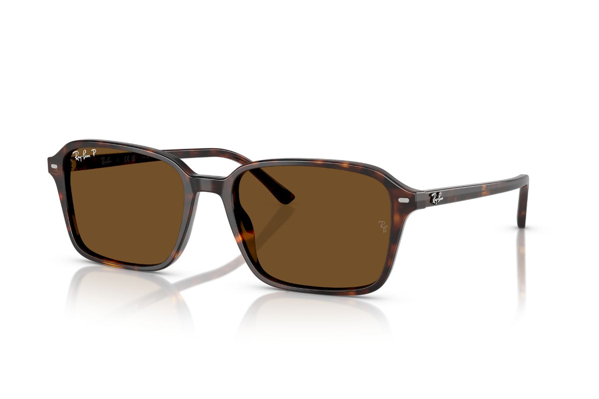Ray-Ban Raimond