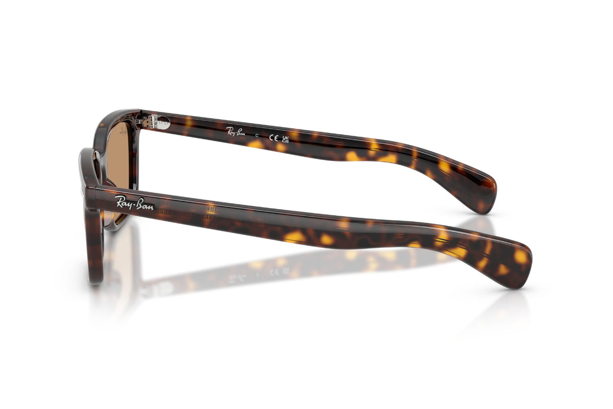 Ray-Ban Lentes de Sol Brunel RB2234