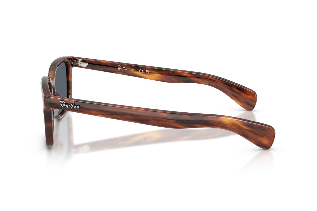 Ray-Ban Lentes de Sol Brunel RB2234