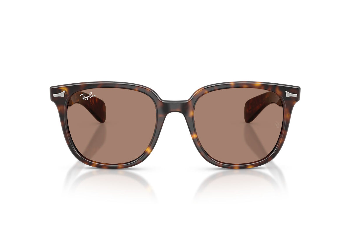Ray-Ban Lentes de Sol Brunel Ii RB2235