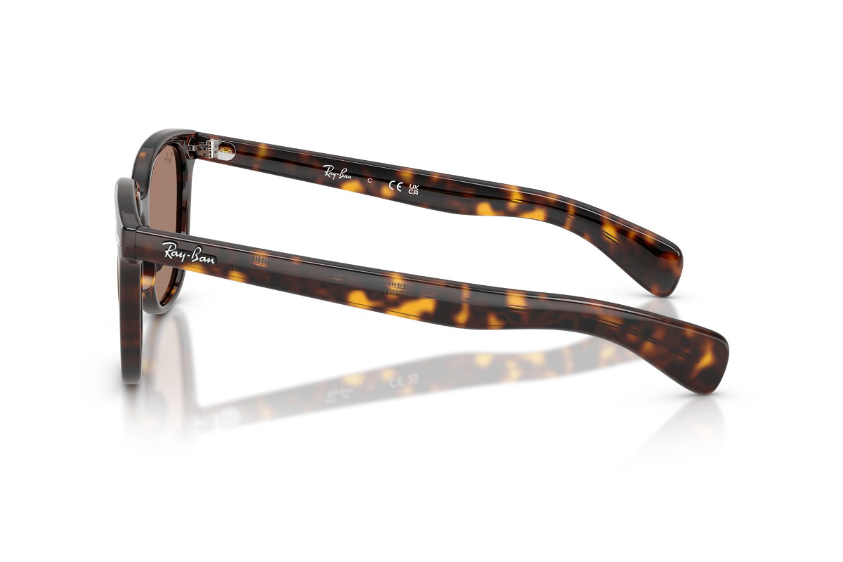 Ray-Ban Lentes de Sol Brunel Ii RB2235