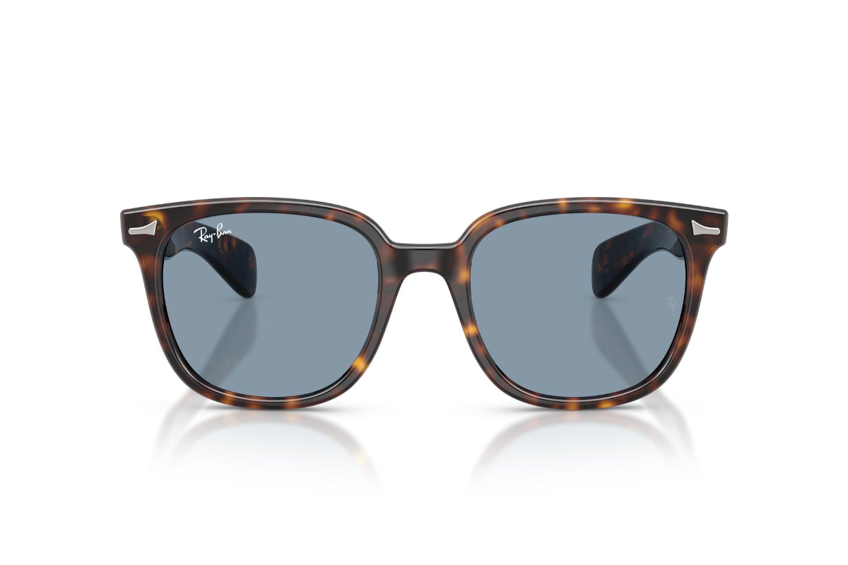 Ray-Ban Lentes de Sol Brunel Ii RB2235