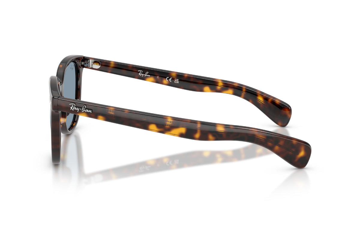 Ray-Ban Lentes de Sol Brunel Ii RB2235