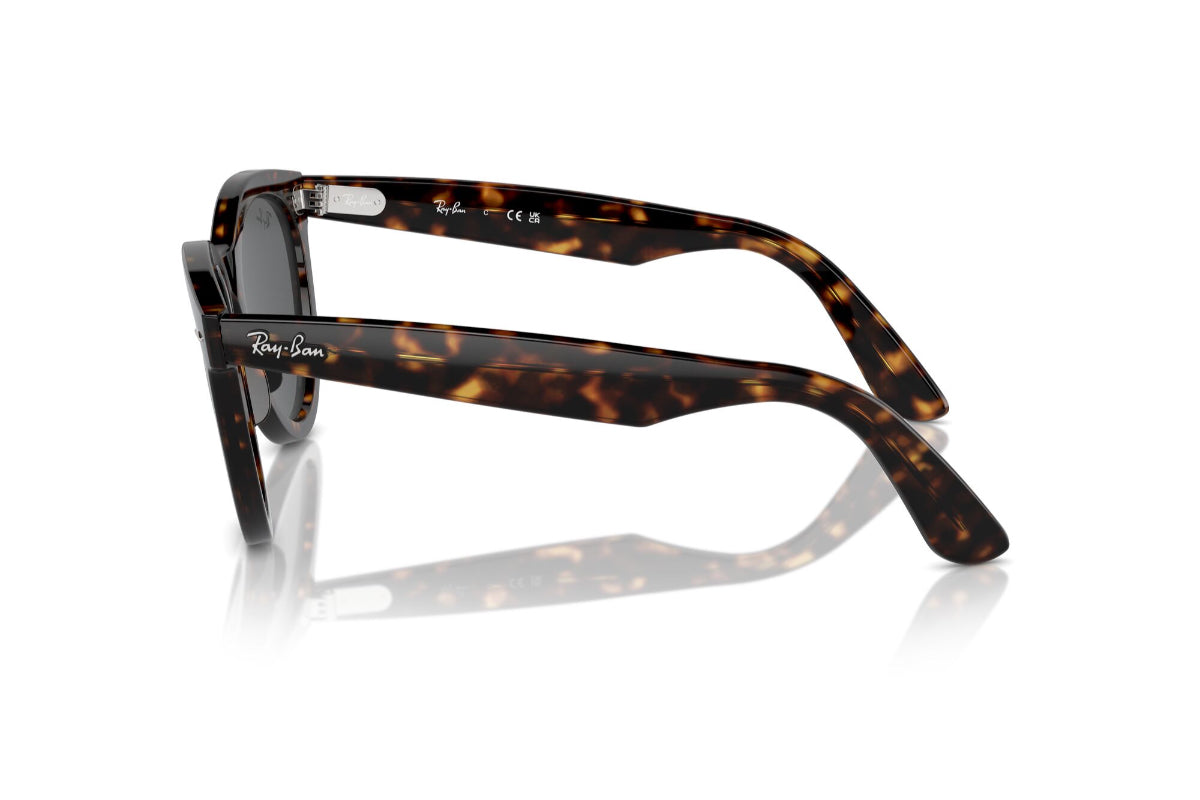 Ray-Ban Wayfarer Way