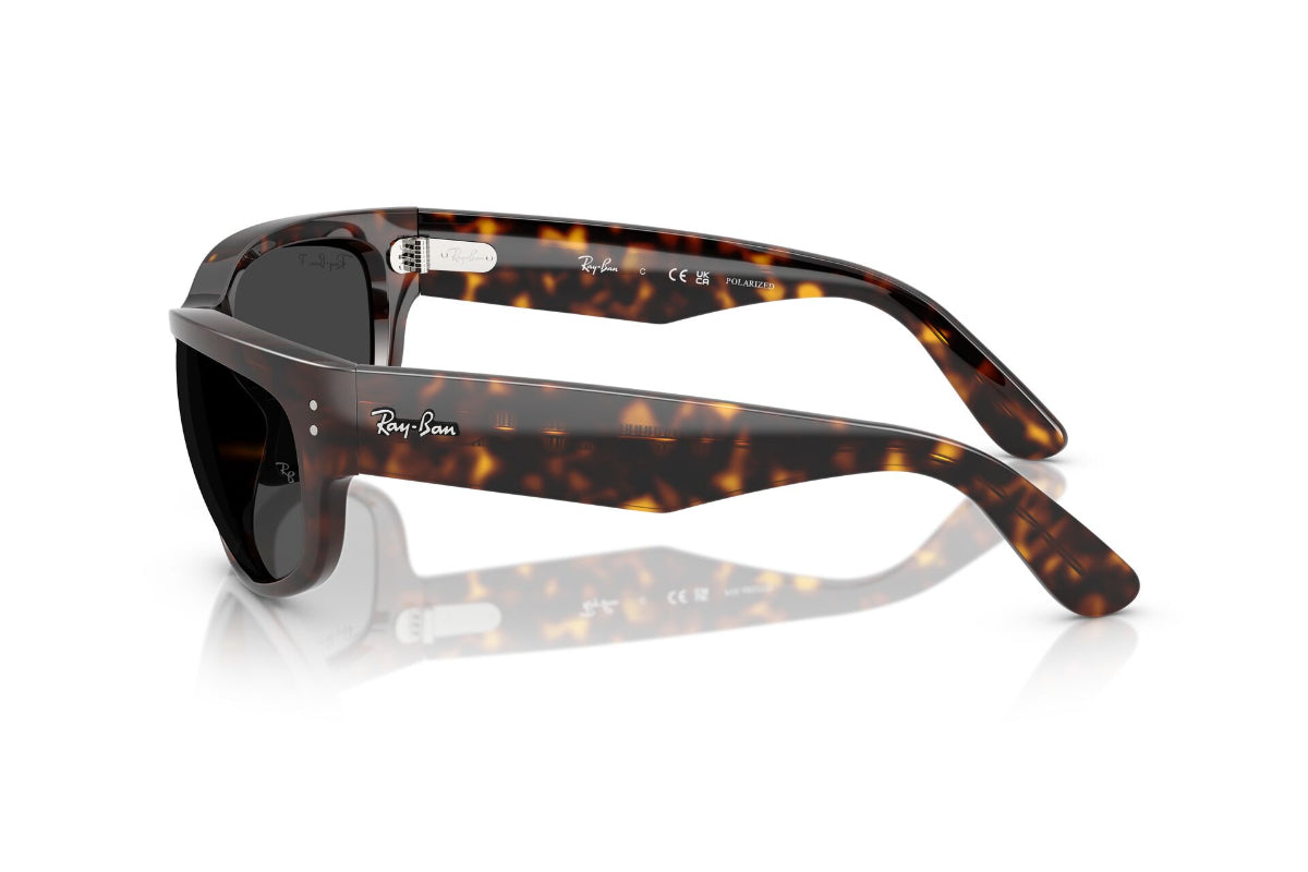 Ray-Ban Mega Balorama