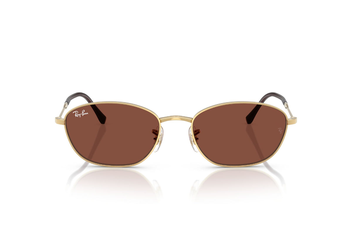 Ray-Ban Lentes de Sol RB3749