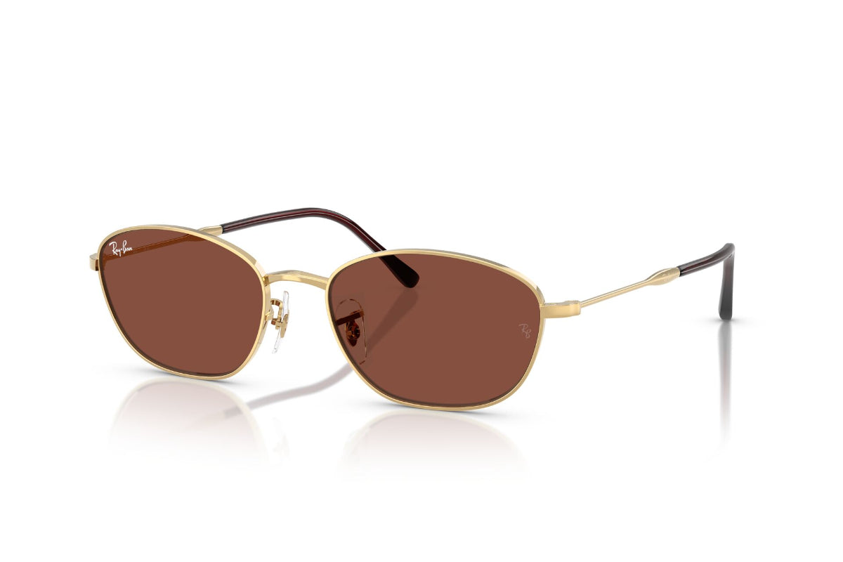 Ray-Ban Lentes de Sol RB3749