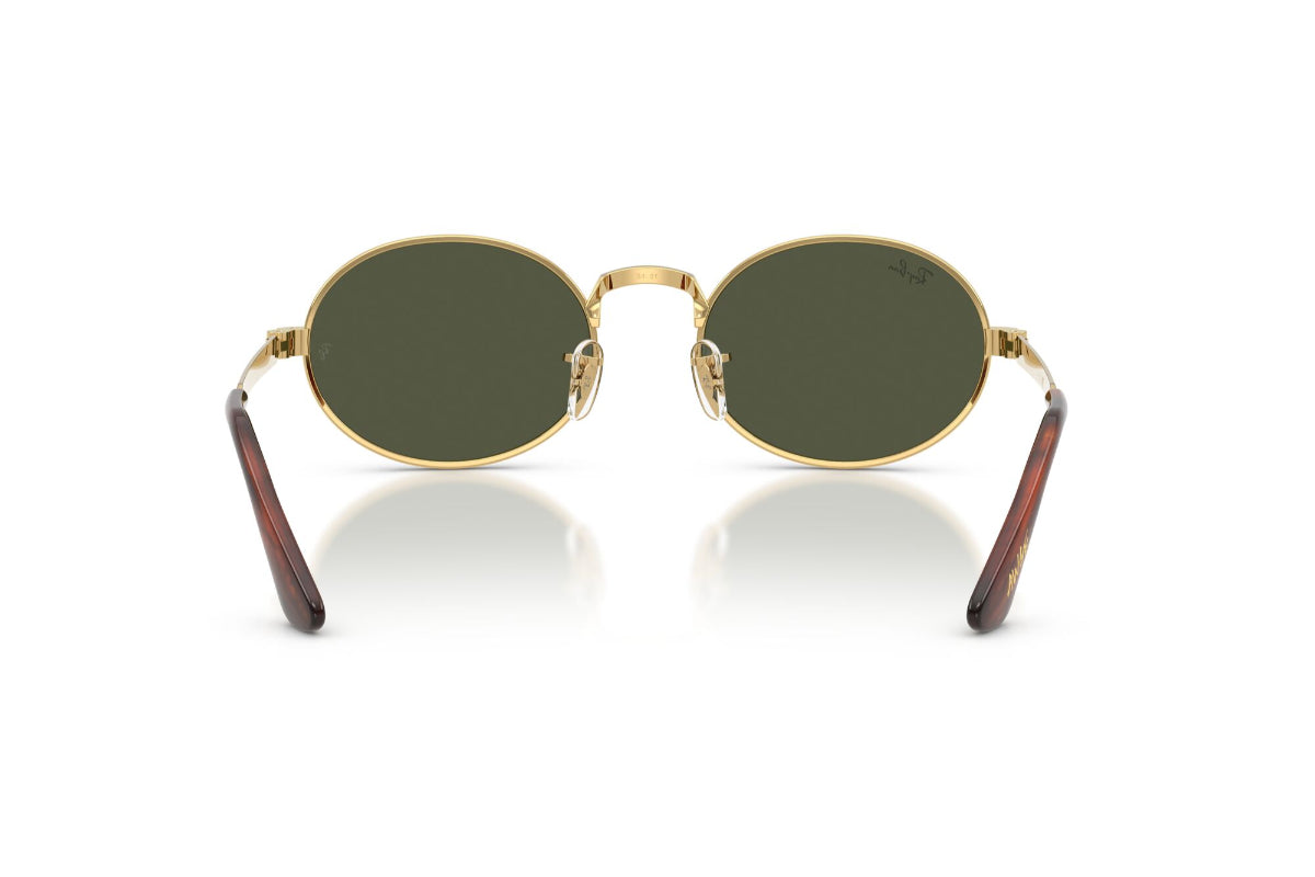 Ray-Ban Lentes de Sol RB3931