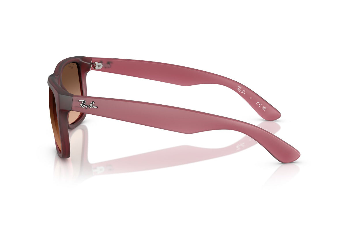 Ray-Ban Justin  -NOVEDAD