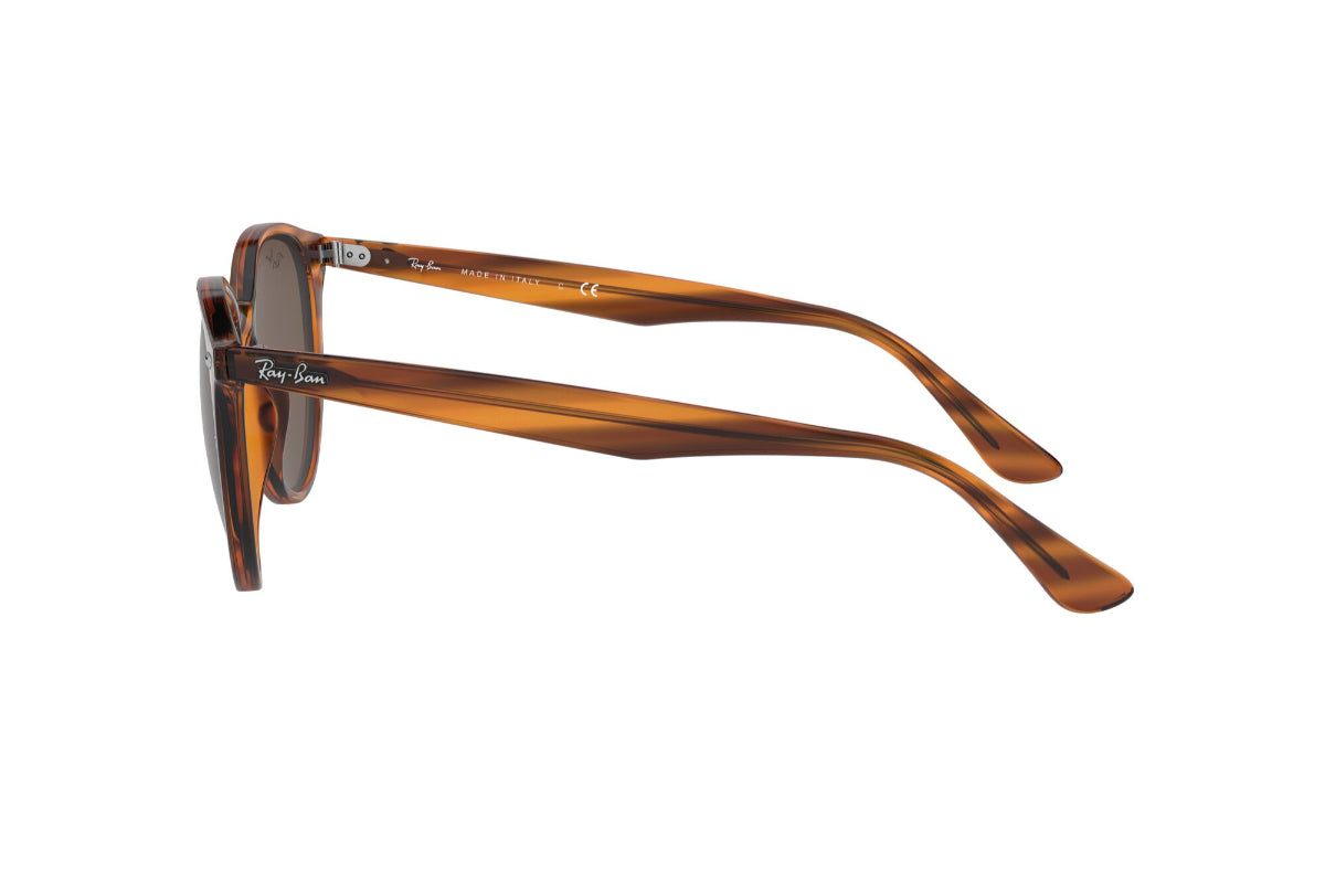 Ray-Ban Lentes de Sol RB4305