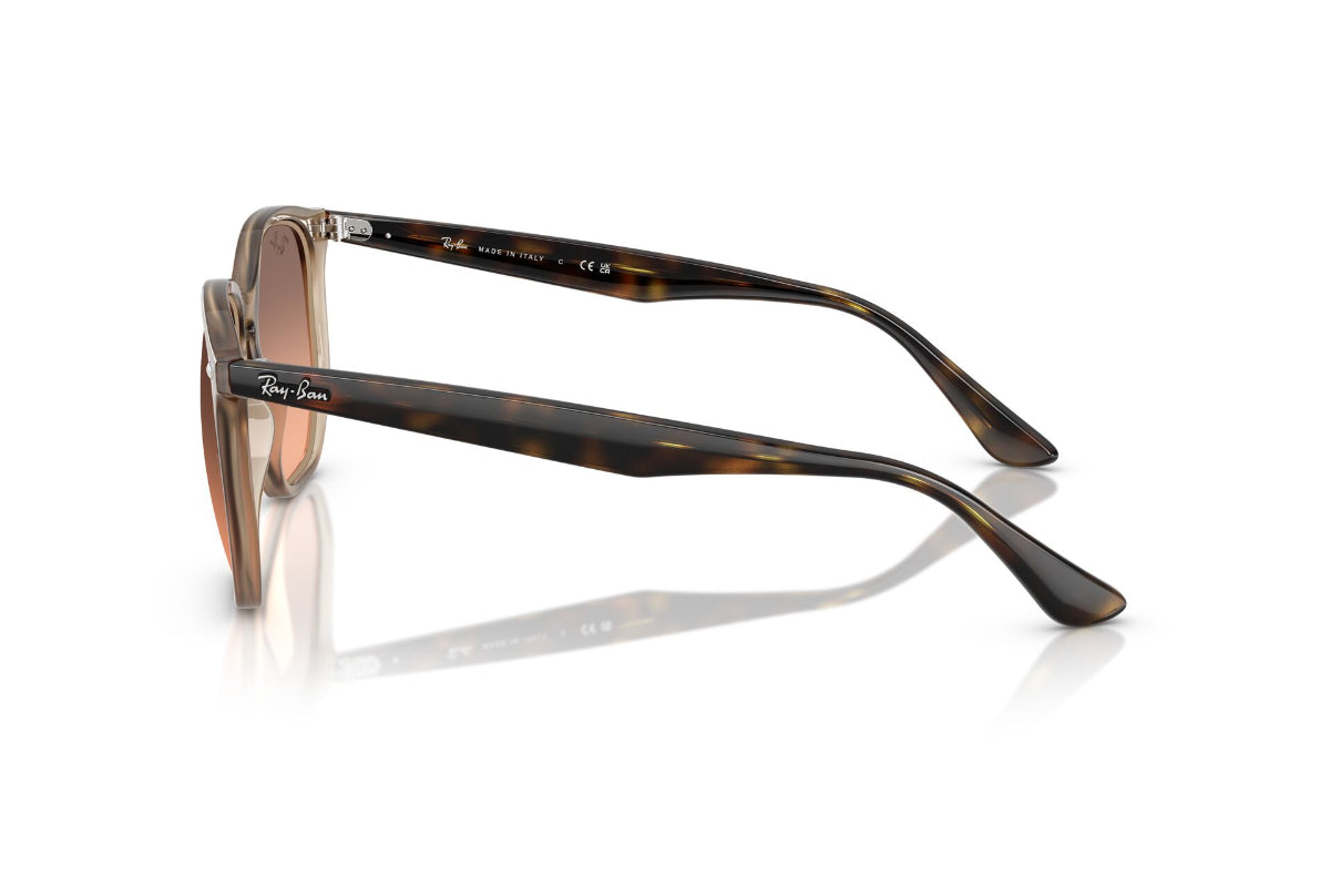 Ray-Ban Lentes de Sol BS