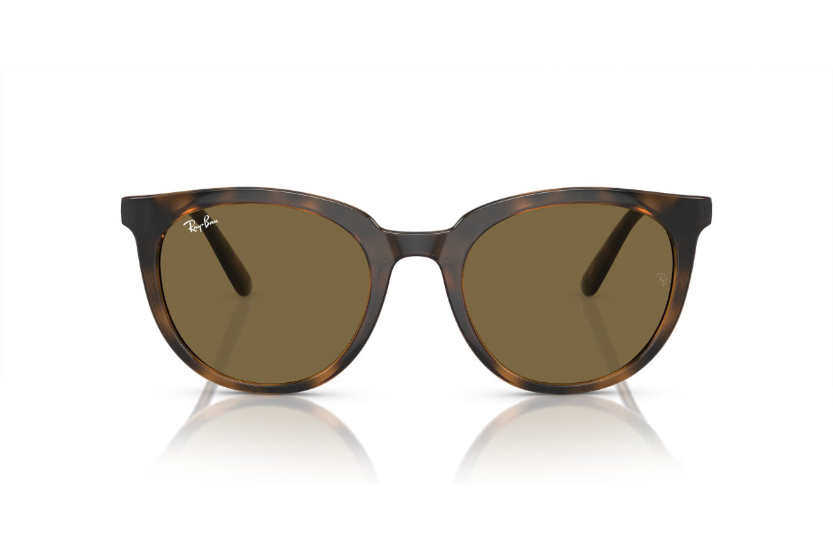Ray-Ban Lentes de Sol