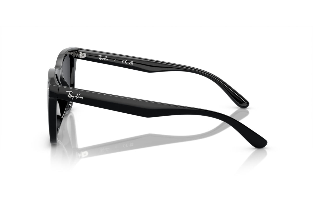 Ray-Ban Lentes de Sol RB4420