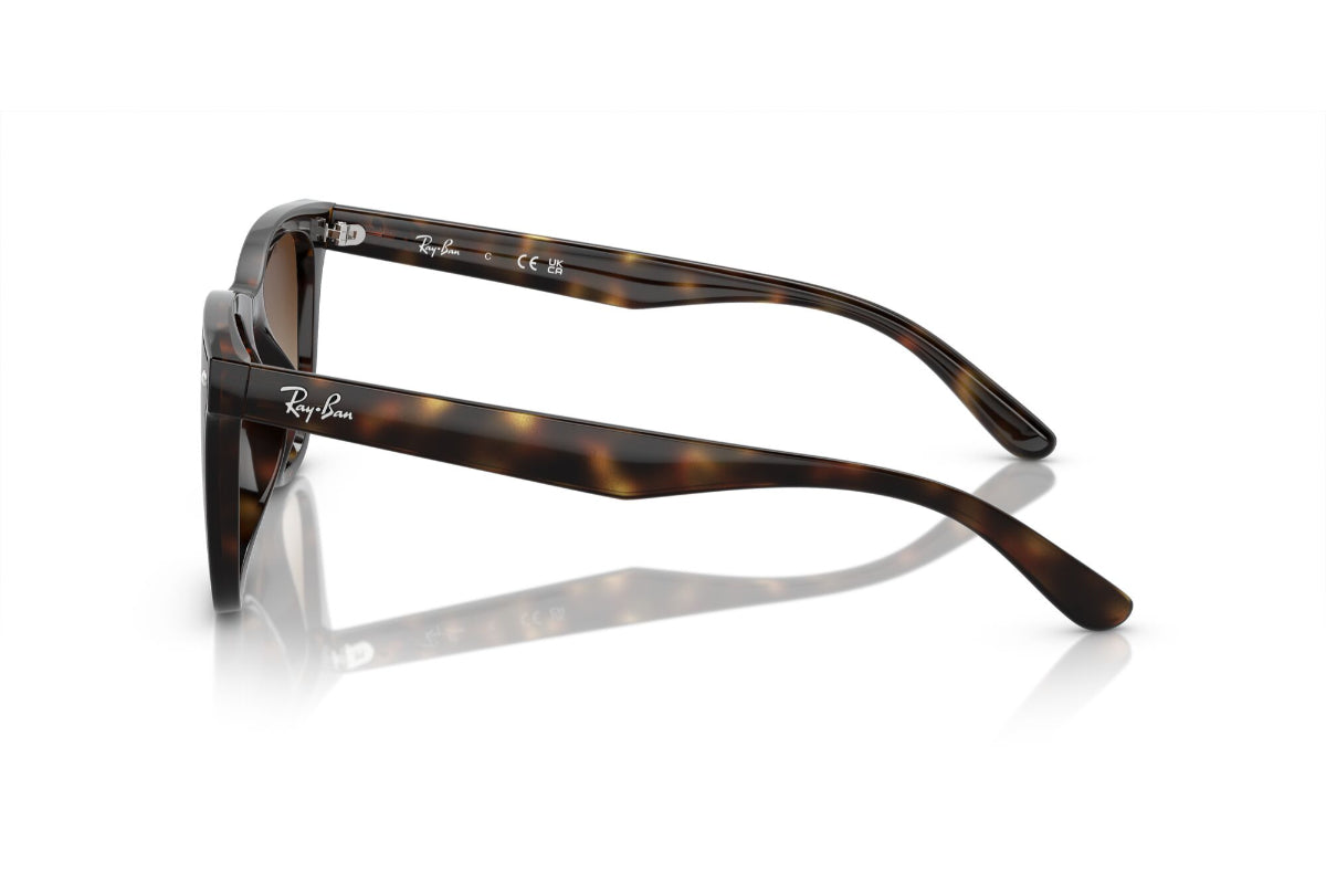 Ray-Ban Lentes de Sol RB4420