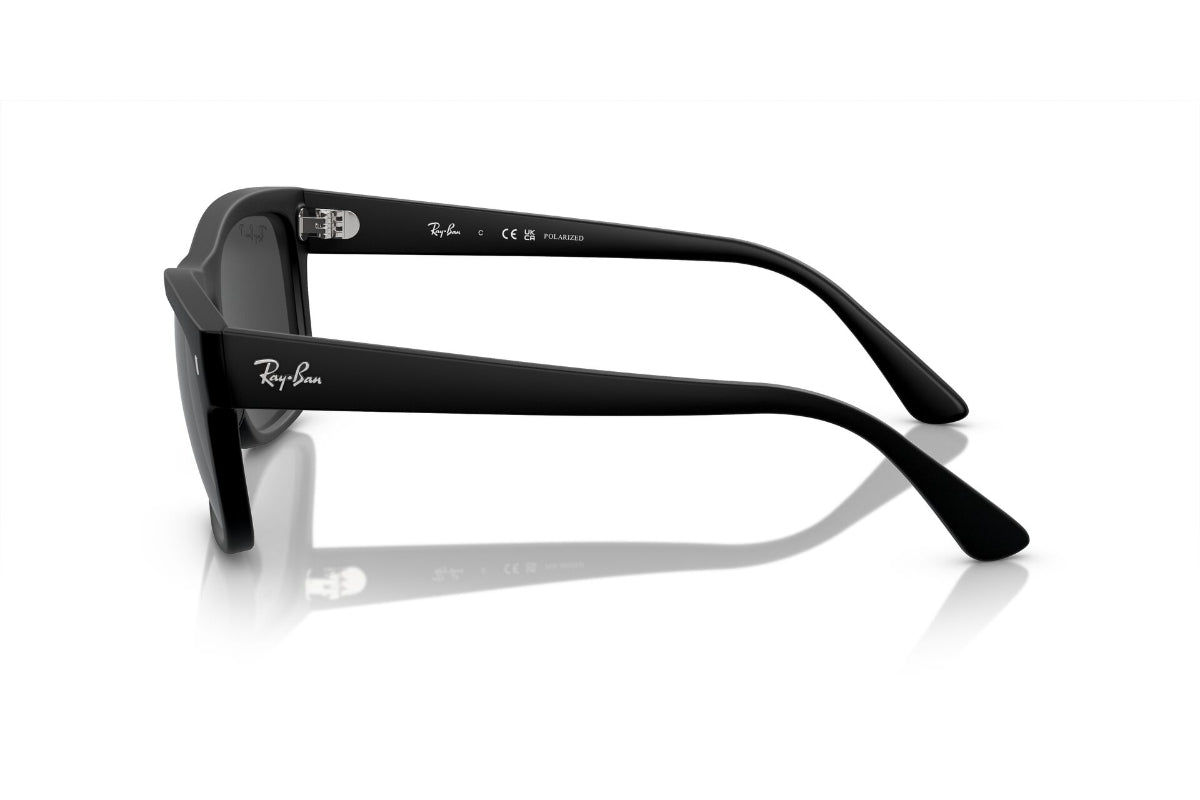 Ray-Ban Lentes de Sol