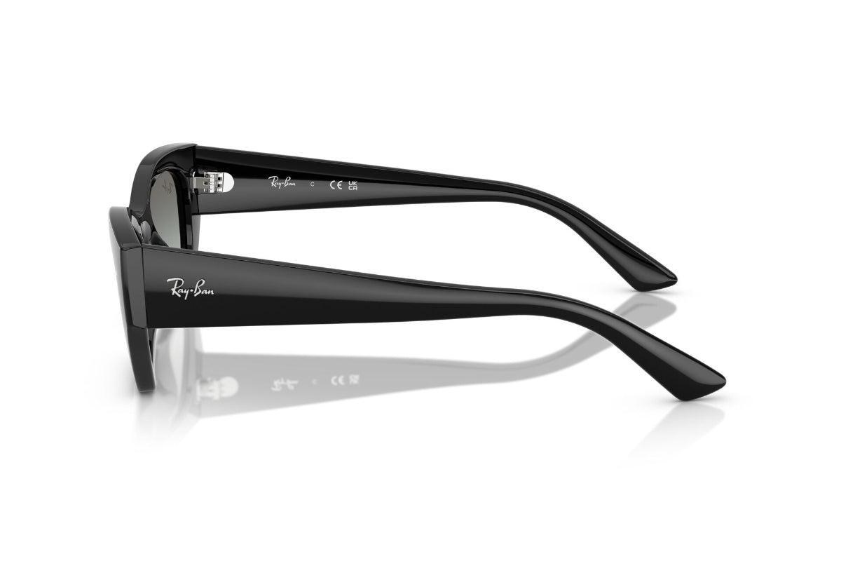 Ray-Ban Zena Degradados -NOVEDAD