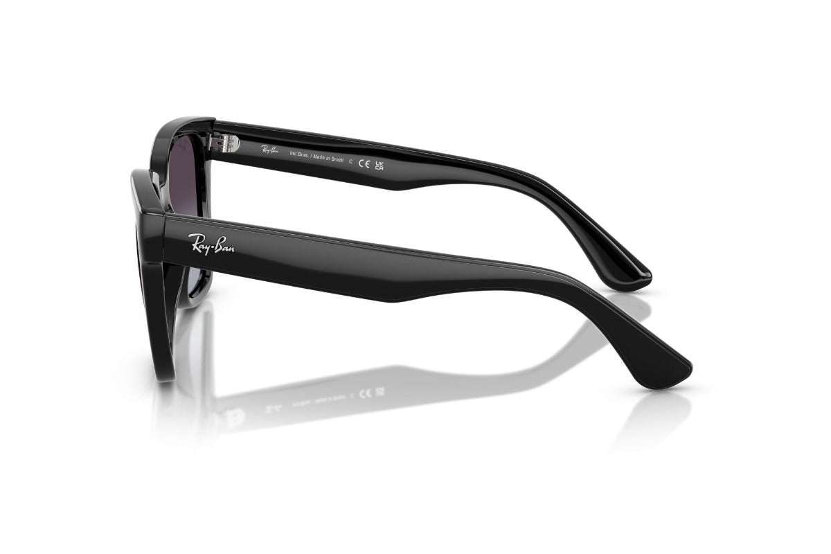 Ray-Ban Lentes de Sol