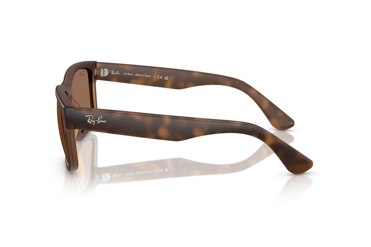 Ray-Ban Lentes de Sol