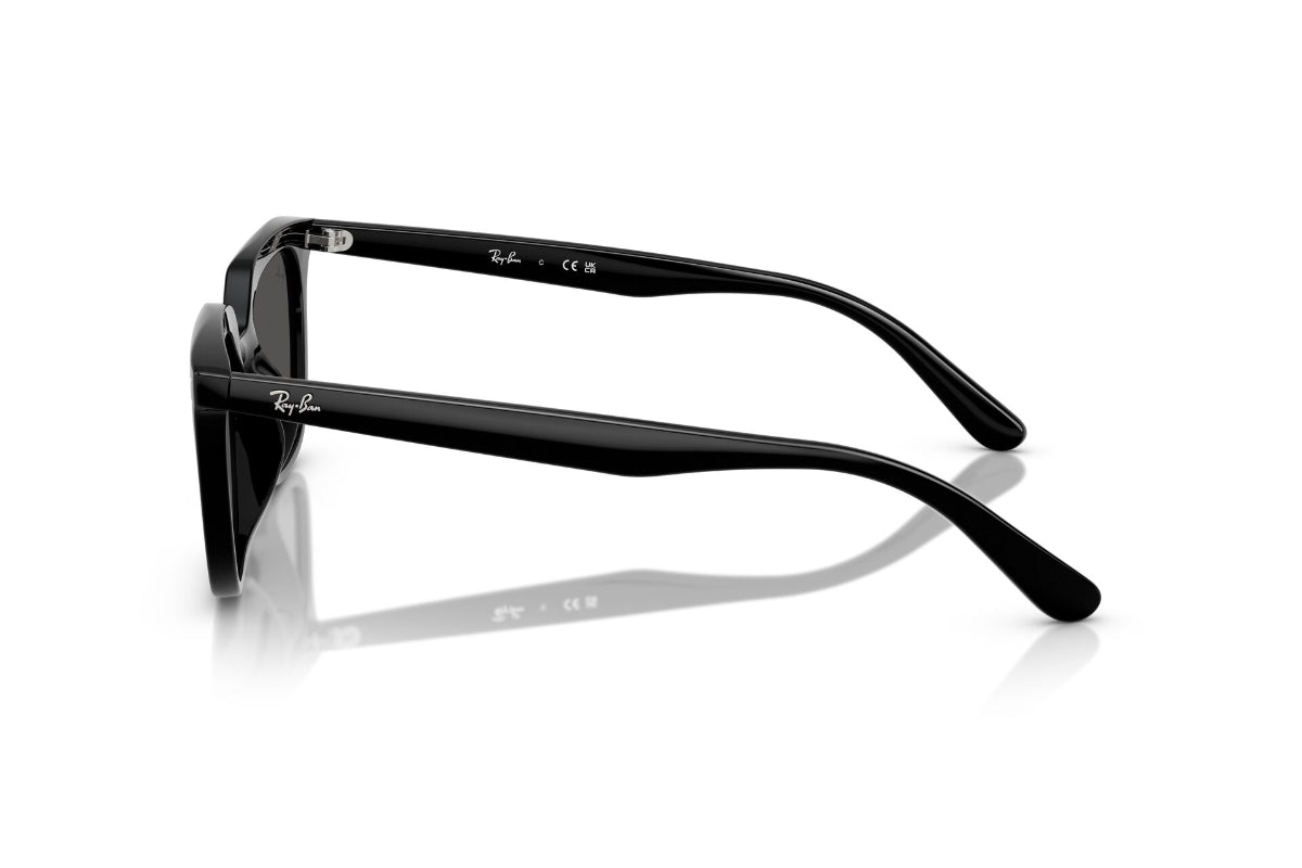 Ray-Ban Lentes de Sol