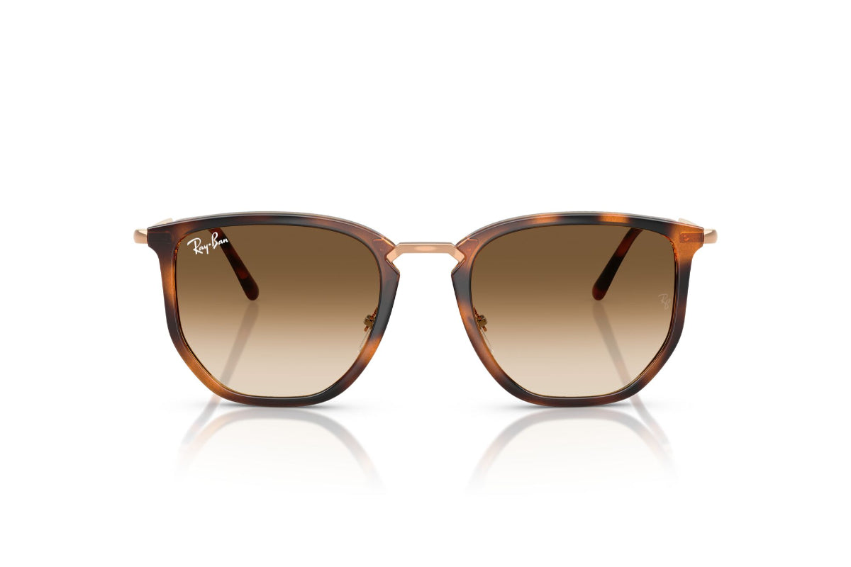 Ray-Ban Lentes de Sol Degradados RB4451