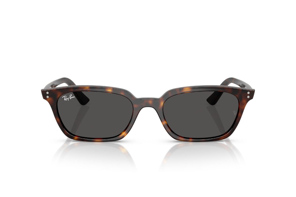 Ray-Ban Zaya -NOVEDAD