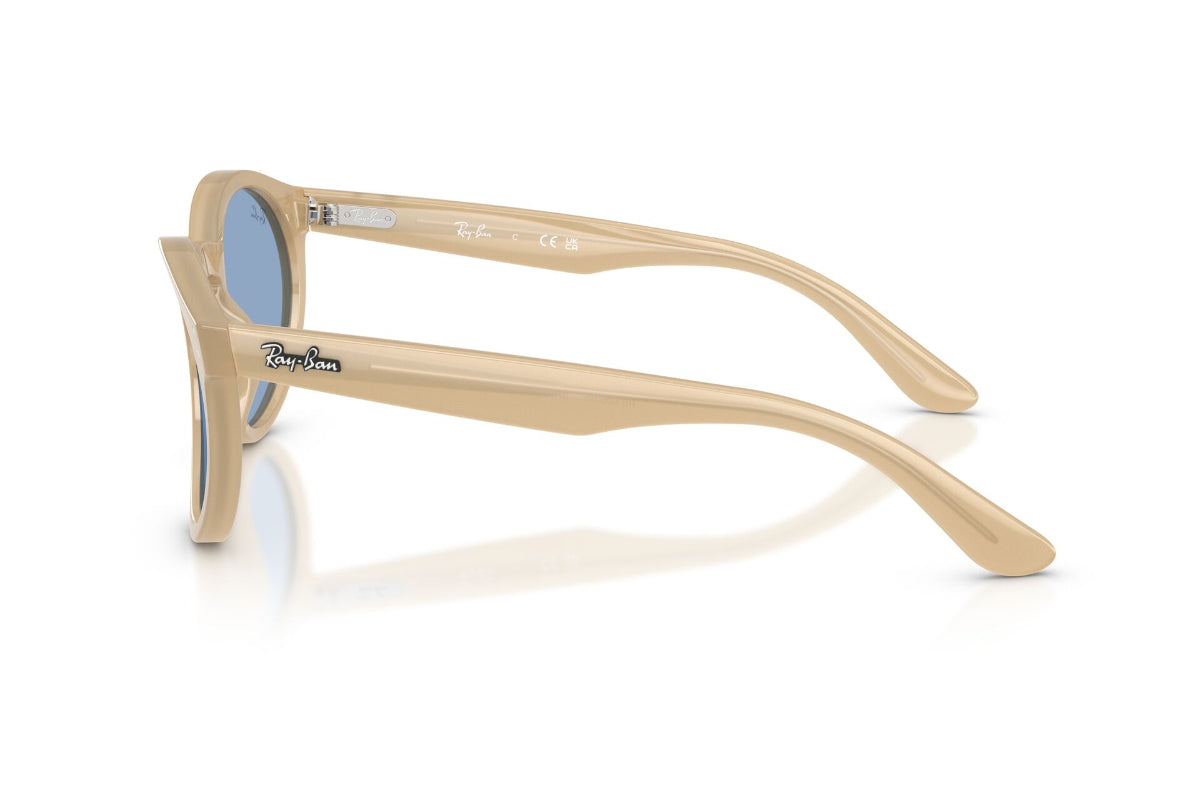 Ray-Ban Lentes de Sol RBR0505S