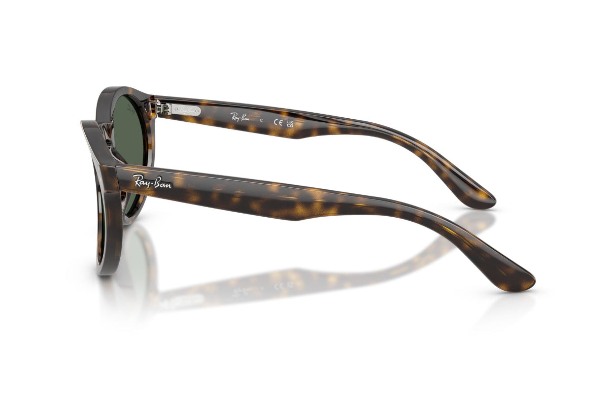 Ray-Ban Lentes de Sol RBR0505S