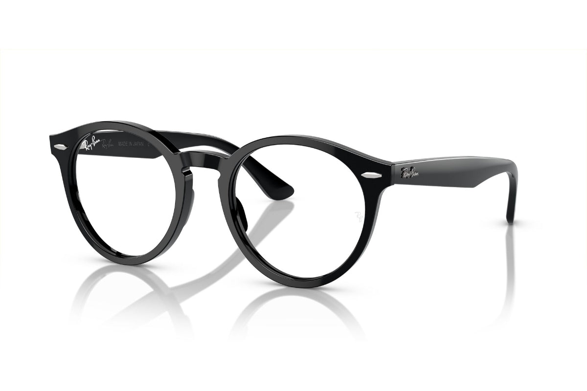 Ray-Ban Vista Larry