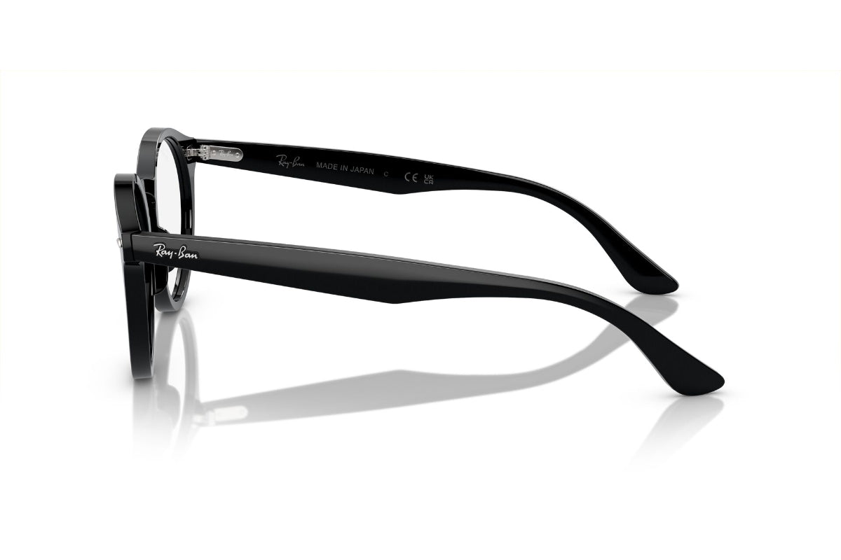 Ray-Ban Vista Larry