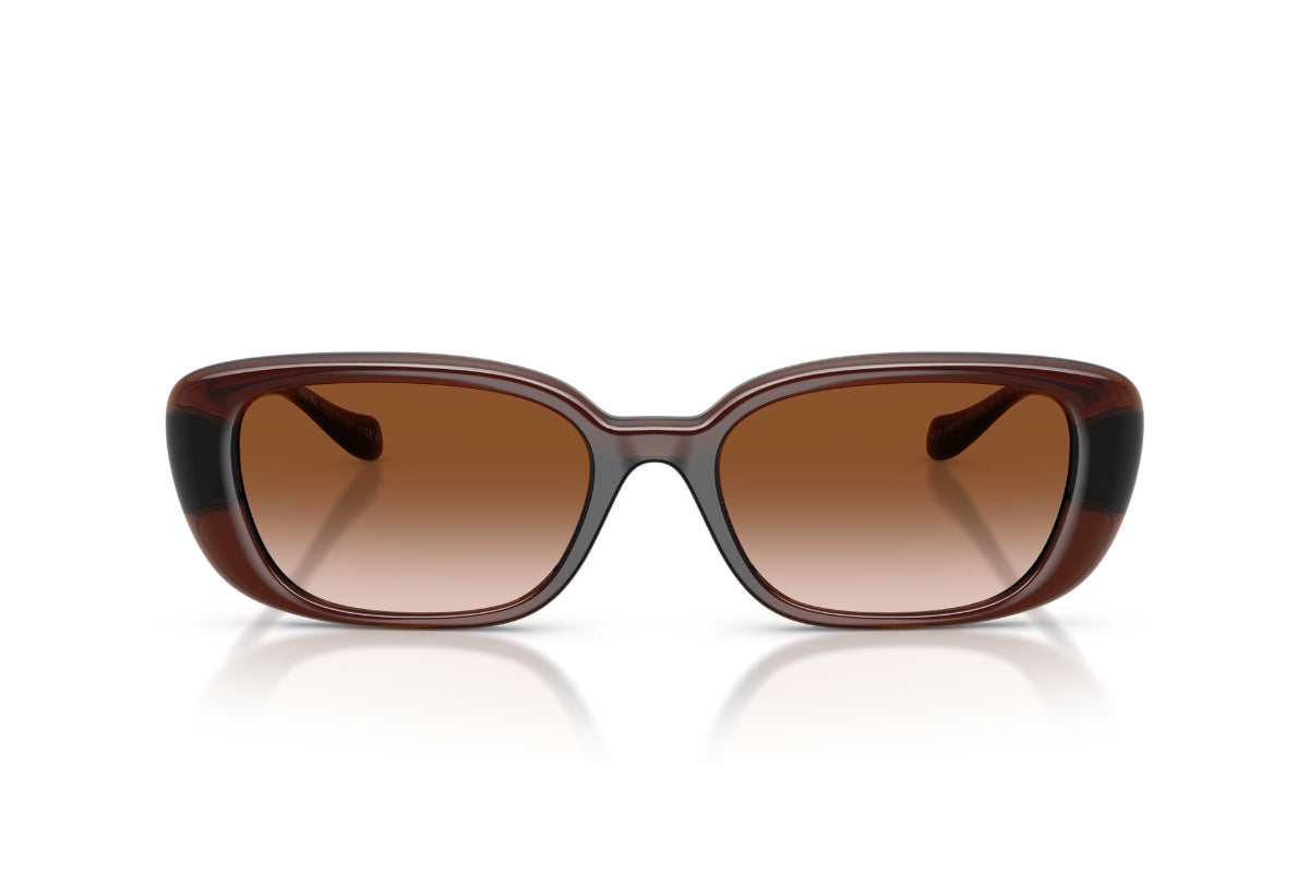 Versace Lentes de Sol Medusa Degradados VE4504D